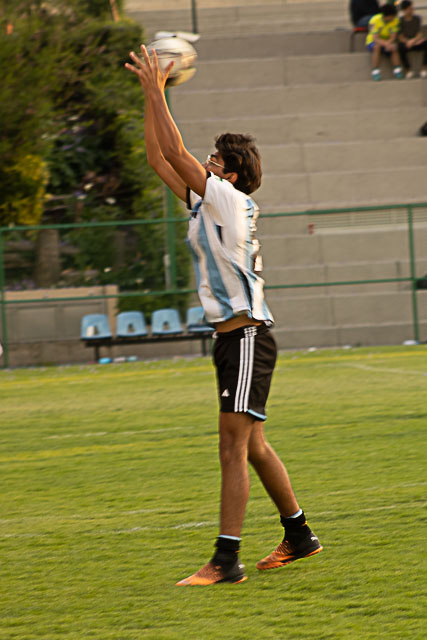 Ir a la Siguiente Foto