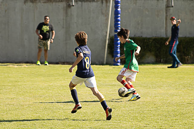 Ir a la Siguiente Foto