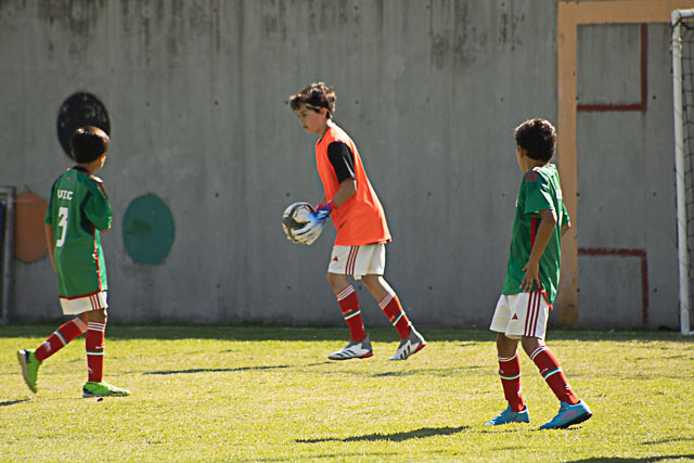 Ir a la Siguiente Foto