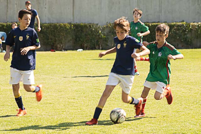 Ir a la Siguiente Foto