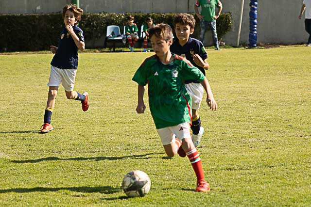 Ir a la Siguiente Foto