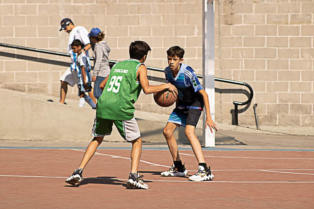 Ir a la Siguiente Foto