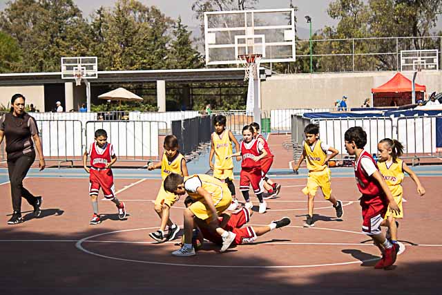 Ir a la Siguiente Foto