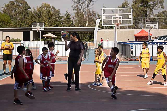 Ir a la Siguiente Foto