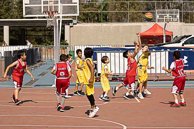 Ir a la Siguiente Foto