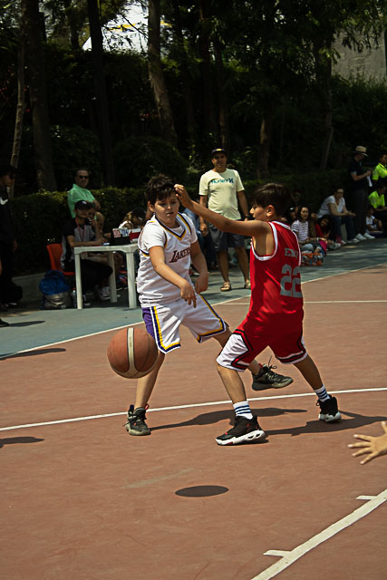 Ir a la Siguiente Foto