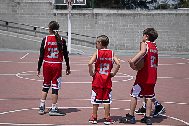 Ir a la Siguiente Foto