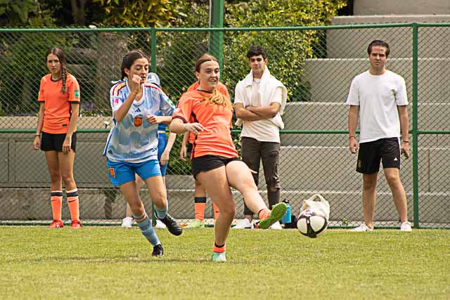 Ir a la Siguiente Foto