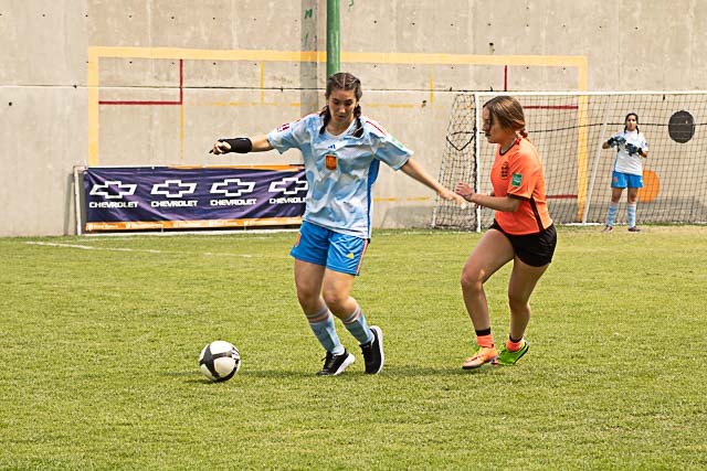 Ir a la Siguiente Foto