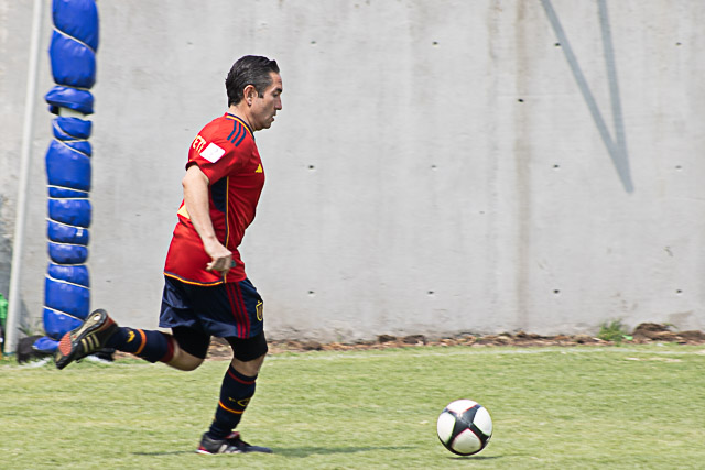 Ir a la Siguiente Foto