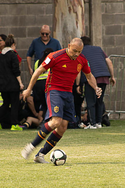 Ir a la Siguiente Foto