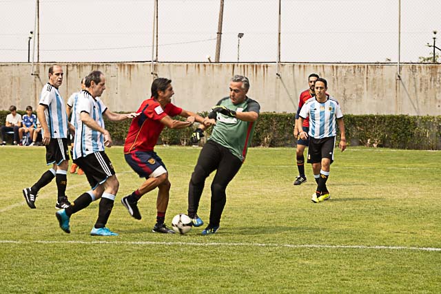 Ir a la Siguiente Foto