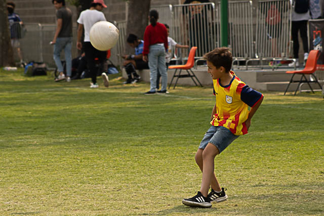 Ir a la Siguiente Foto