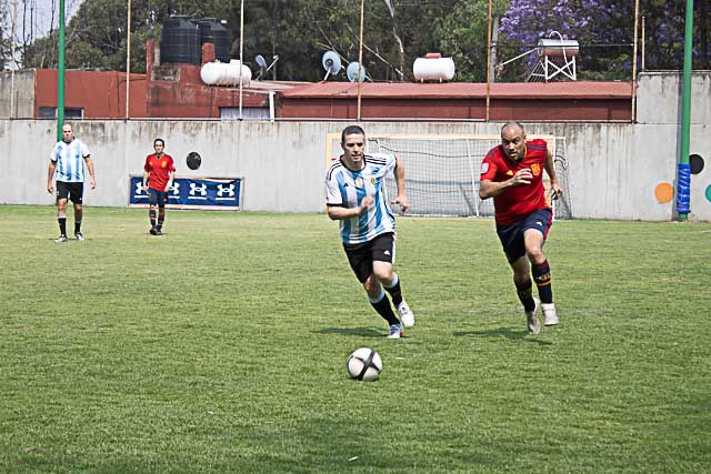 Ir a la Siguiente Foto