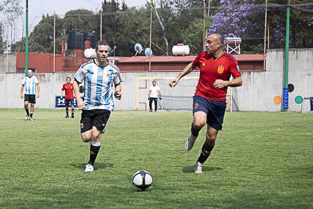 Ir a la Siguiente Foto