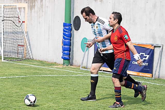 Ir a la Siguiente Foto