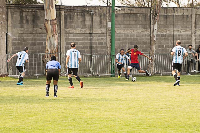 Ir a la Siguiente Foto