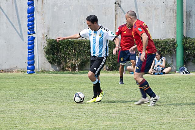 Ir a la Siguiente Foto