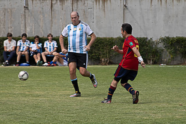 Ir a la Siguiente Foto