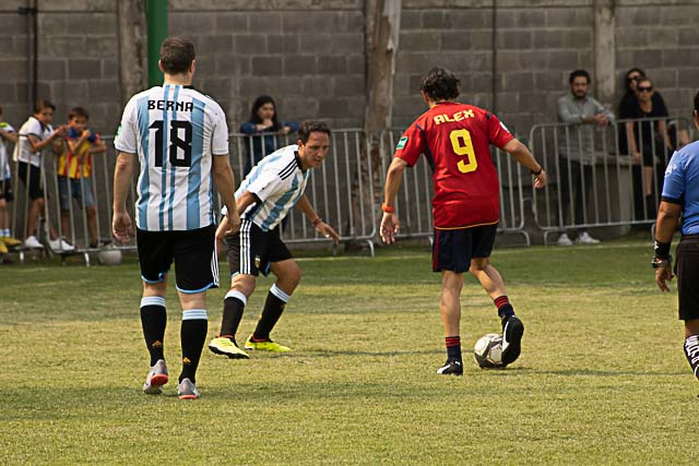 Ir a la Siguiente Foto