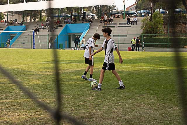 Ir a la Siguiente Foto