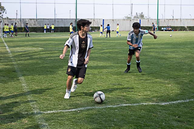 Ir a la Siguiente Foto