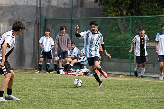 Ir a la Siguiente Foto