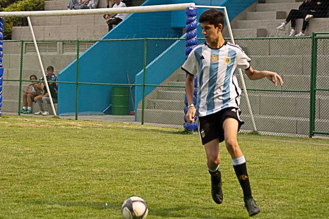 Ir a la Siguiente Foto