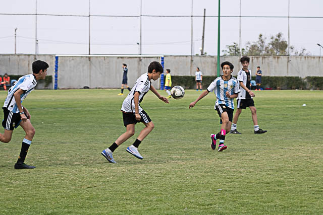 Ir a la Siguiente Foto