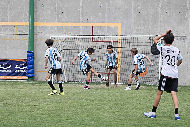 Ir a la Siguiente Foto