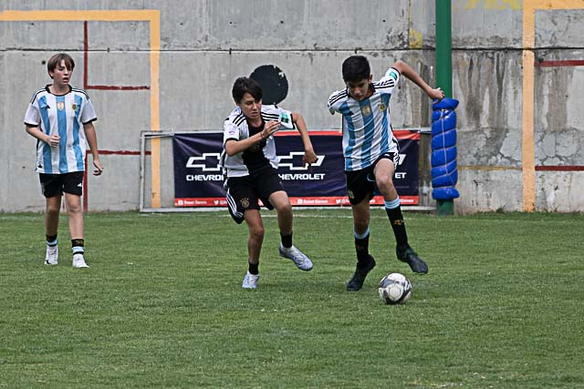 Ir a la Siguiente Foto