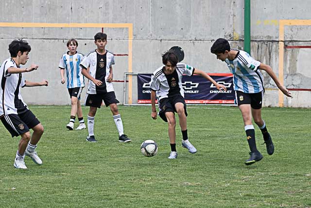 Ir a la Siguiente Foto