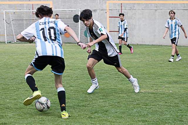 Ir a la Siguiente Foto