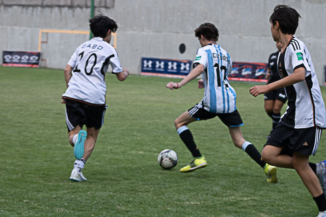 Ir a la Siguiente Foto