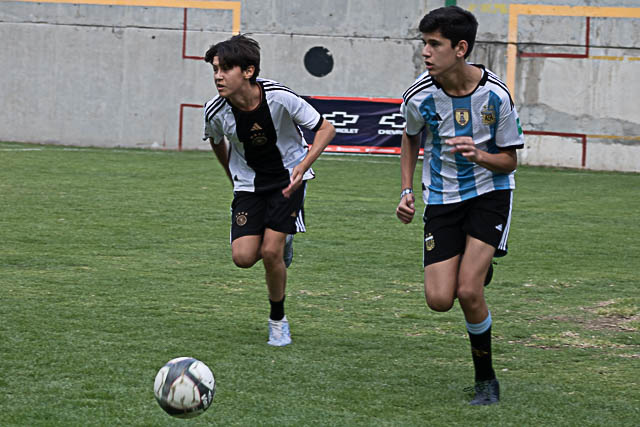 Ir a la Siguiente Foto