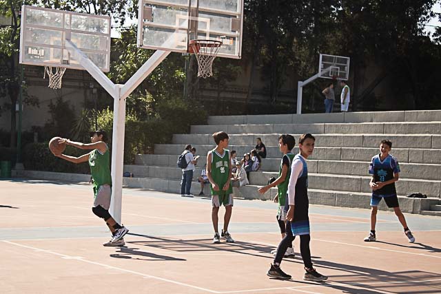 Ir a la Siguiente Foto