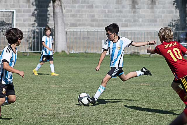 Ir a la Siguiente Foto