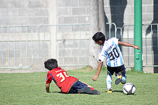 Ir a la Siguiente Foto