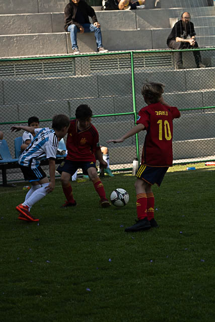 Ir a la Siguiente Foto