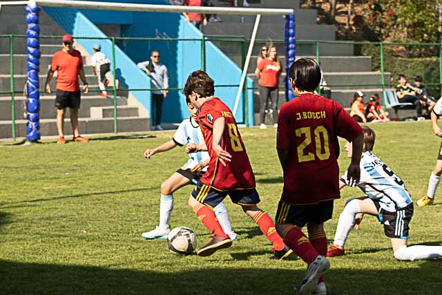 Ir a la Siguiente Foto