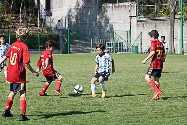 Ir a la Siguiente Foto