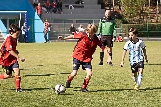 Ir a la Siguiente Foto