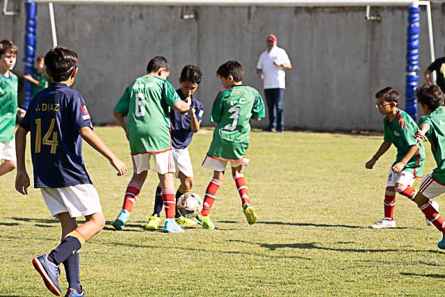 Ir a la Siguiente Foto