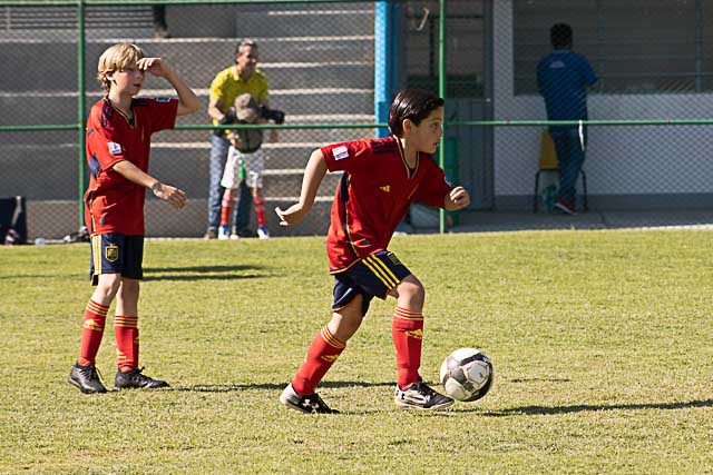 Ir a la Siguiente Foto