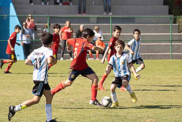 Ir a la Siguiente Foto