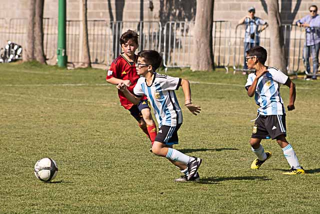 Ir a la Siguiente Foto