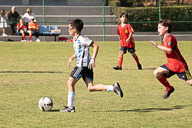 Ir a la Siguiente Foto