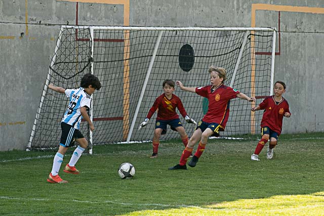 Ir a la Siguiente Foto