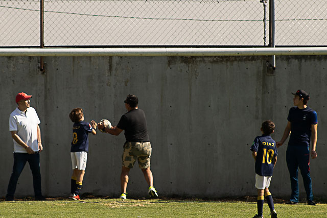 Ir a la Siguiente Foto