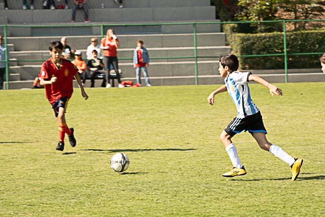 Ir a la Siguiente Foto